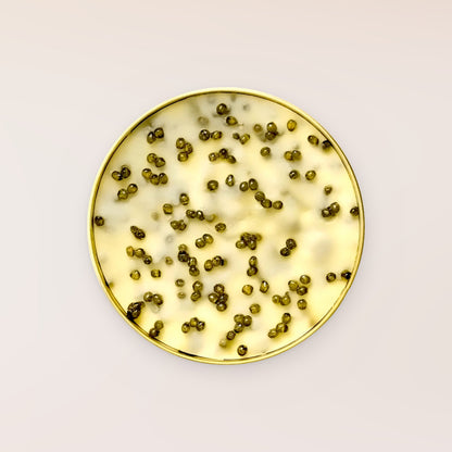 Sturgeon Caviar French Butter, open tin