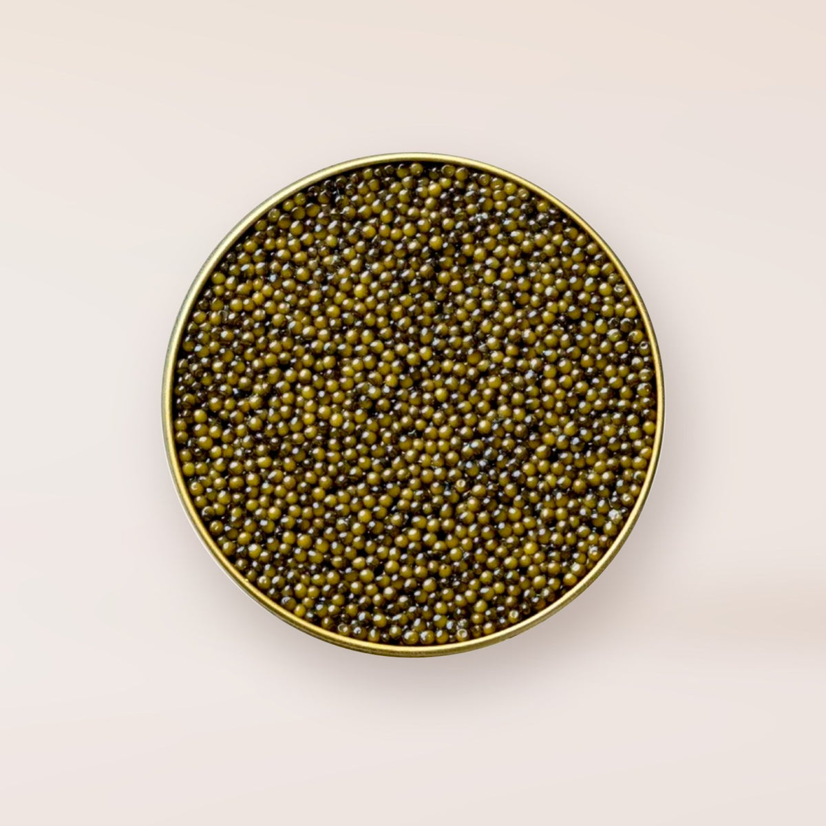 SEASONS Osetra Classic Caviar, open tin