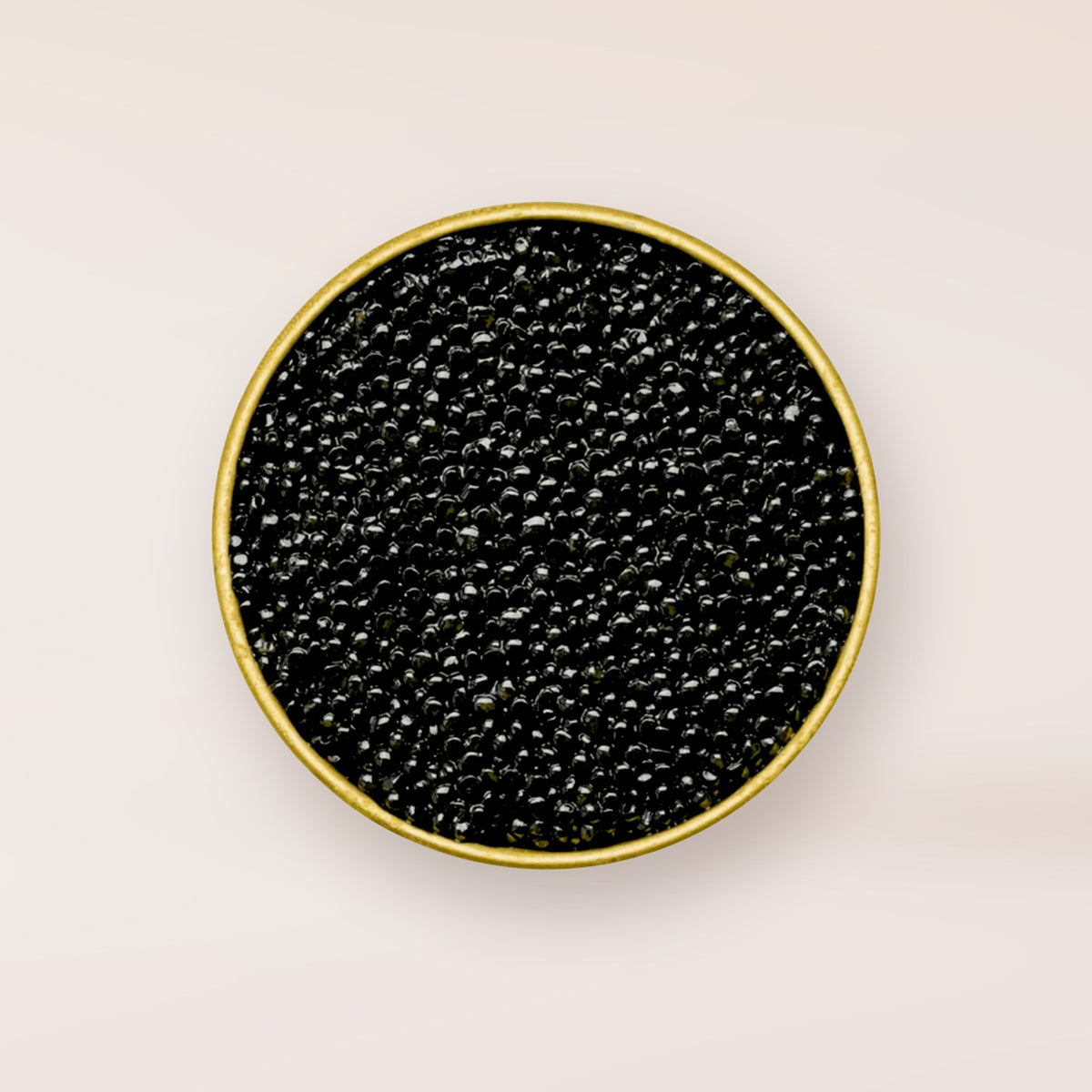 SEASONS Siberian Osetra Caviar, open tin