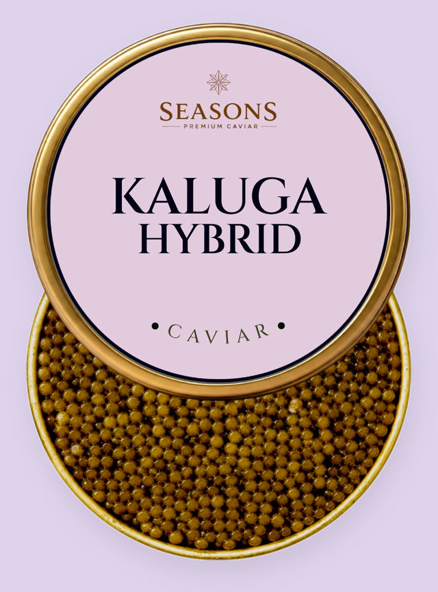 Kaluga Hybrid