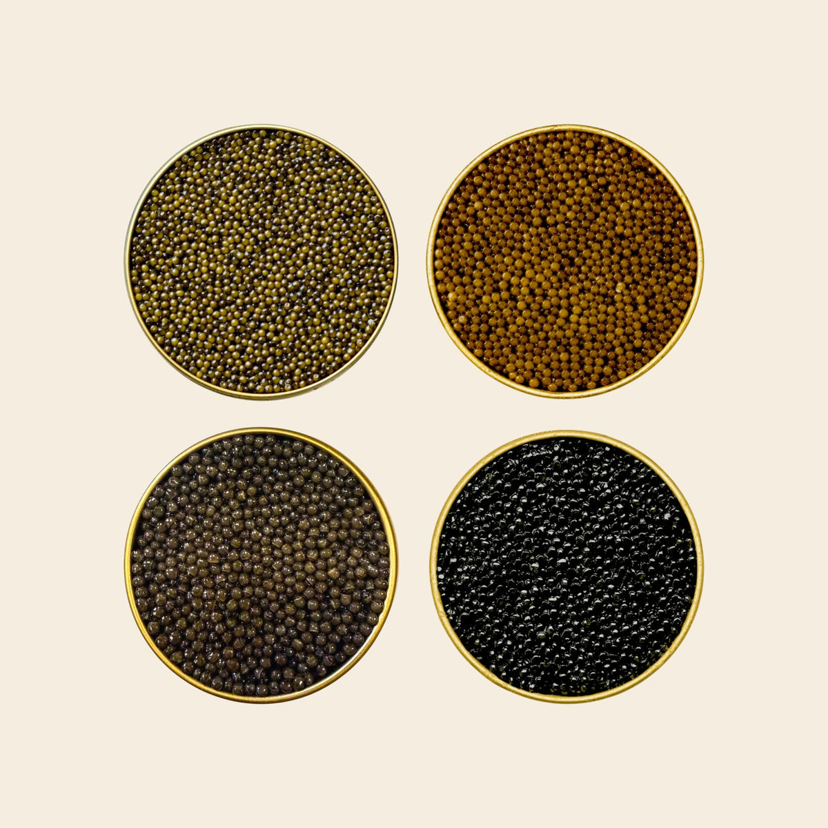 SEASONS caviar gift set — four premium black caviars