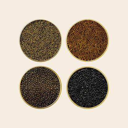 SEASONS caviar gift set — four premium black caviars